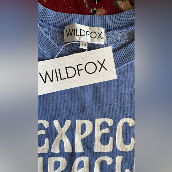 Soft blue WILDFOX Sweatshirt - Picture 3 of 9